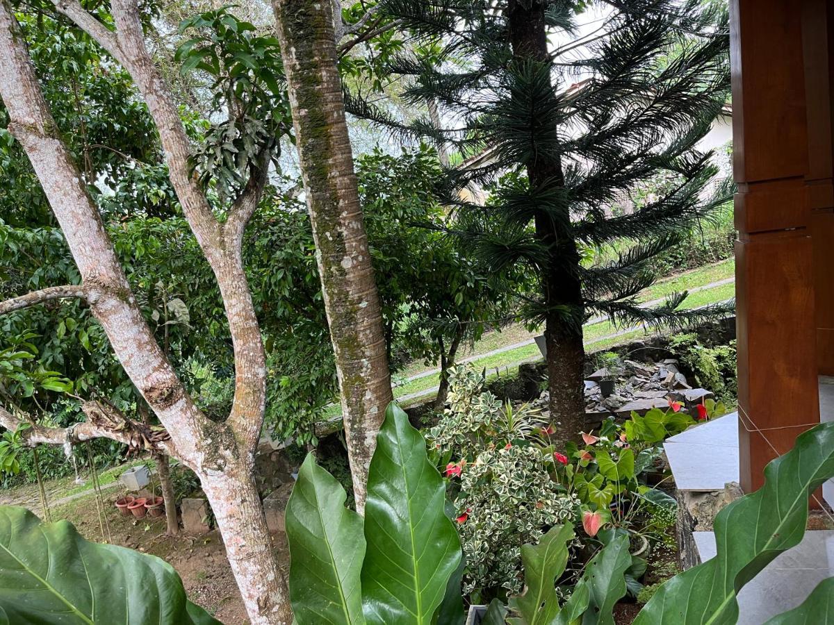 Villa Dinoos- Weligama Eksteriør bilde