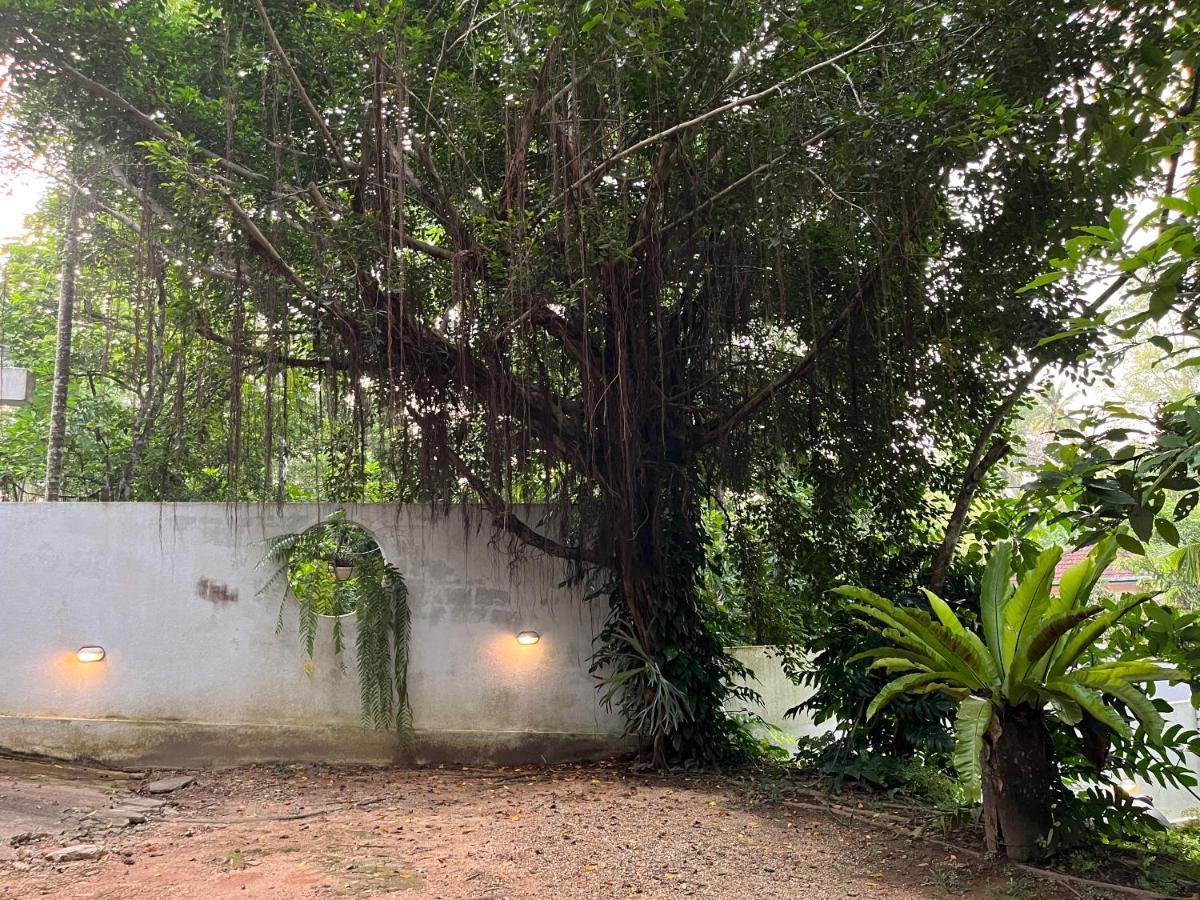 Villa Dinoos- Weligama Eksteriør bilde