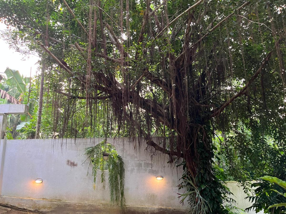 Villa Dinoos- Weligama Eksteriør bilde