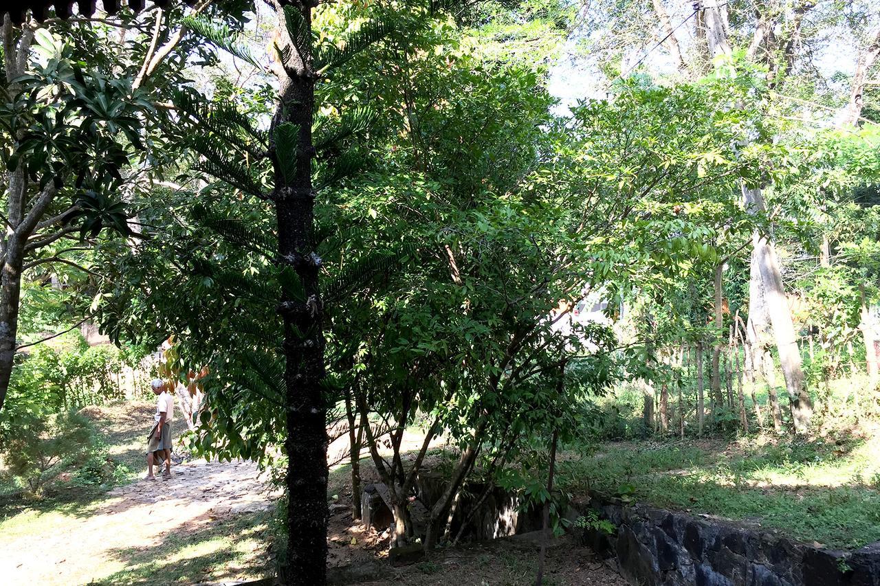 Villa Dinoos- Weligama Eksteriør bilde